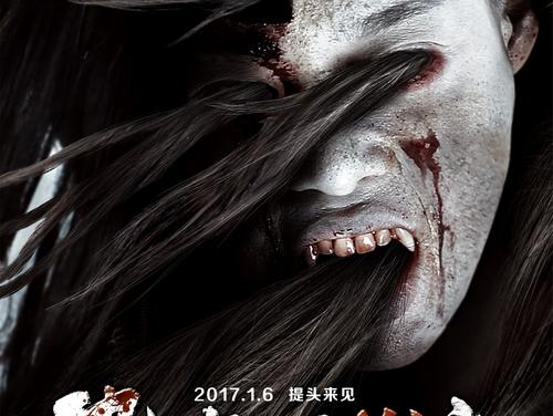 买个假的会计证